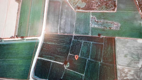 ขายที่ดิน 19 ไร่กว่า ต.แม่ระกา อ.วังทอง จ.พิษณุโลก อยู่ในพื้นที่สีเขียว ทำเลดี โทร 0632897879